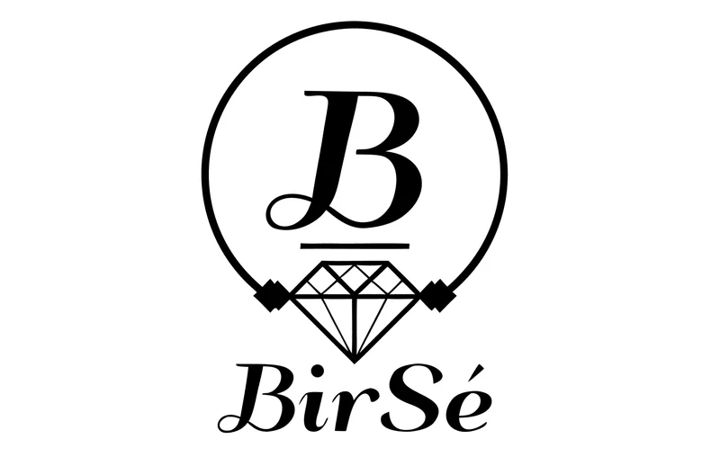 Birsé project preview